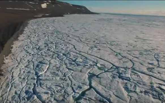 Drone Art: Arctic Wildlife & Landscapes