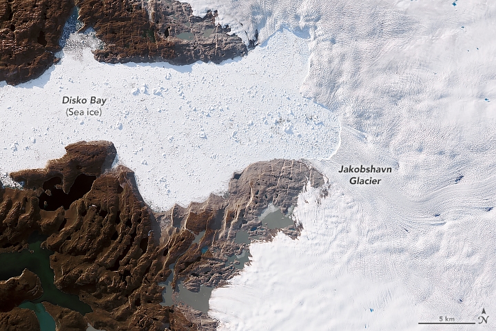 El glaciar más grande de Groenlandia (Jakobshavn) crece por 3º año consecutivo y algunas consideraciones
