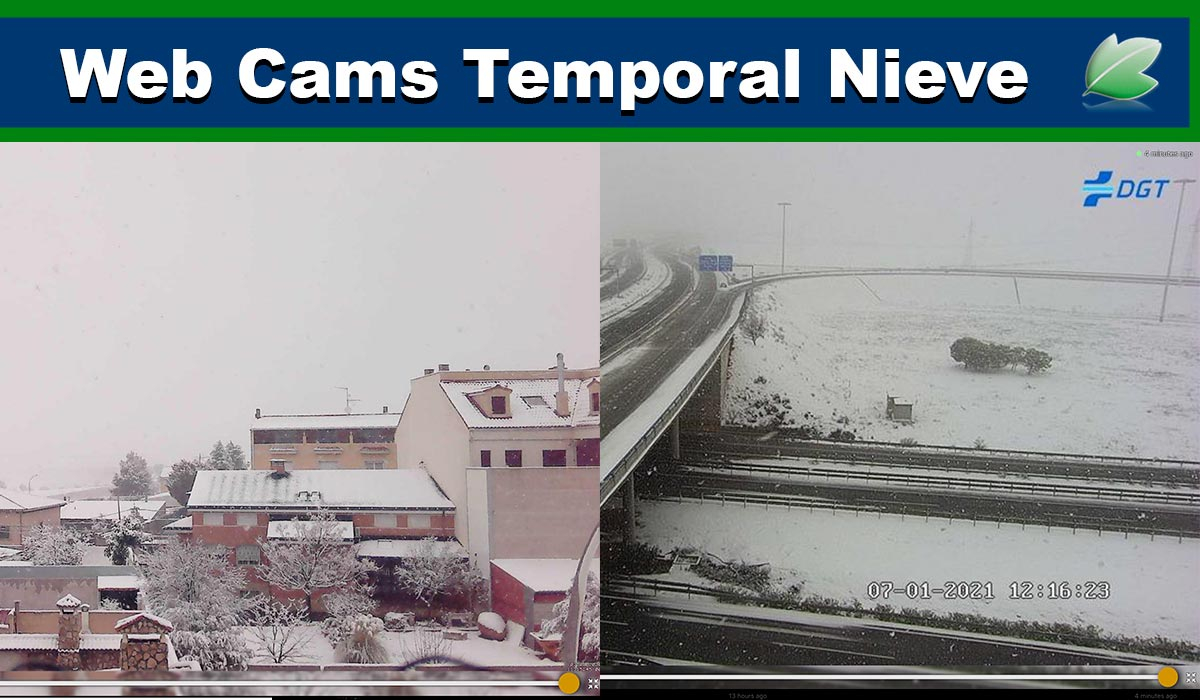 En directo: Temporal de nieve en España con Web Cams
