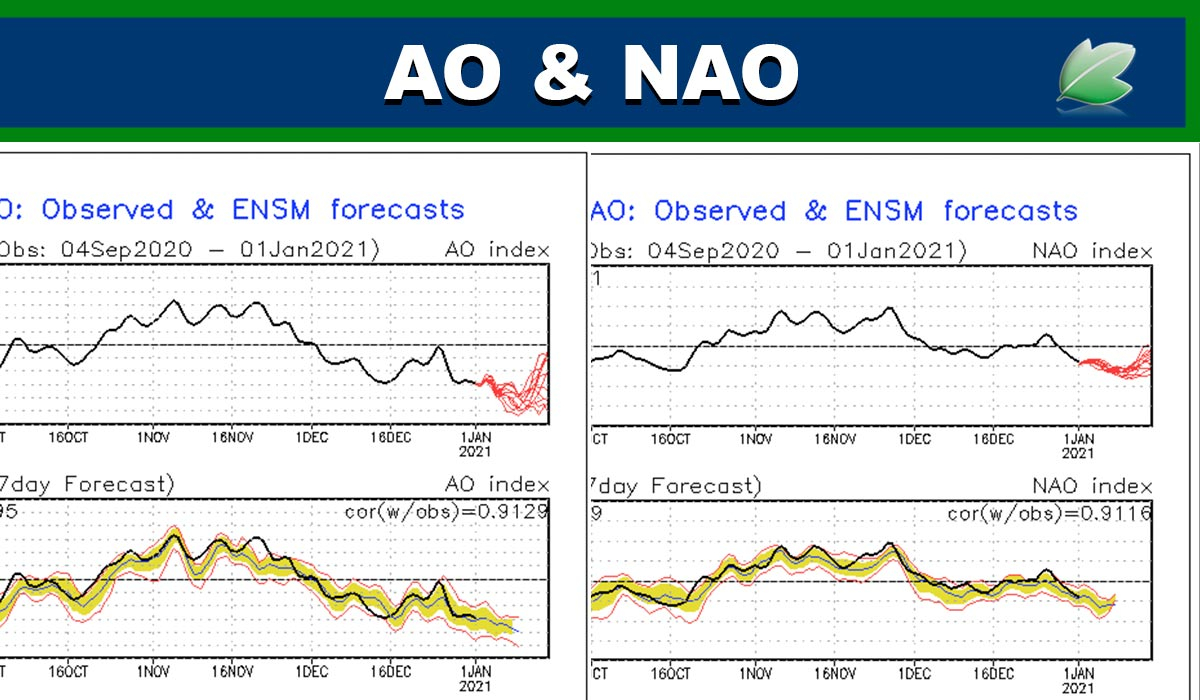 Los índices de NAO y AO vuelven a descender; buenas noticias para el tiempo invernal
