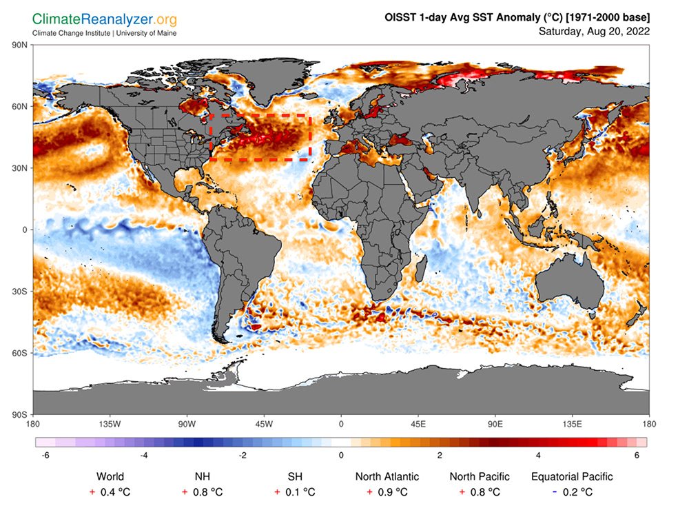 Mapa anomalías térmicas superficie marítima