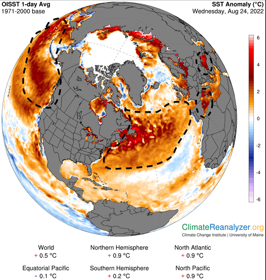 Anomalías térmicas superficie marítima