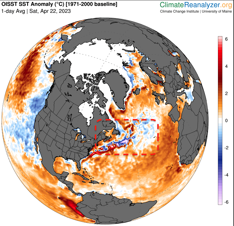 Anomalías térmicas océanos