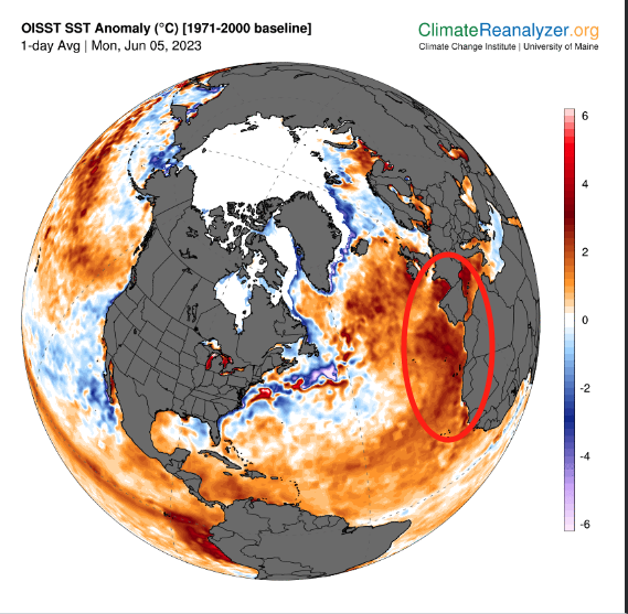 Mapa de anomalías térmicas superficie marítima