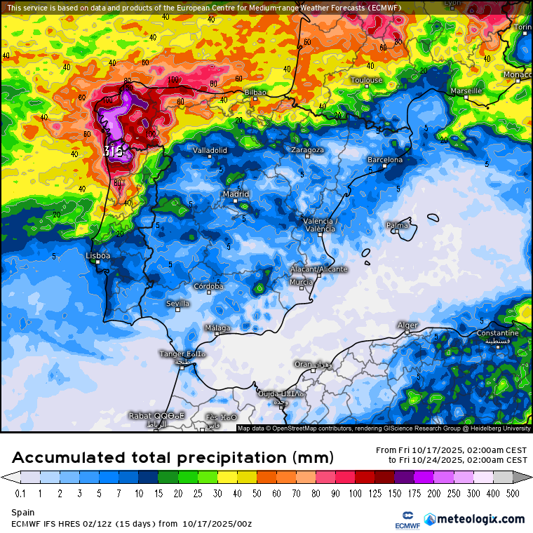 ECMWF lluvias
