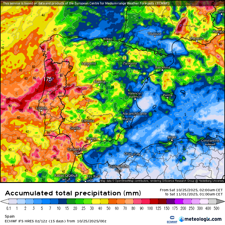 ECMWF lluvias 