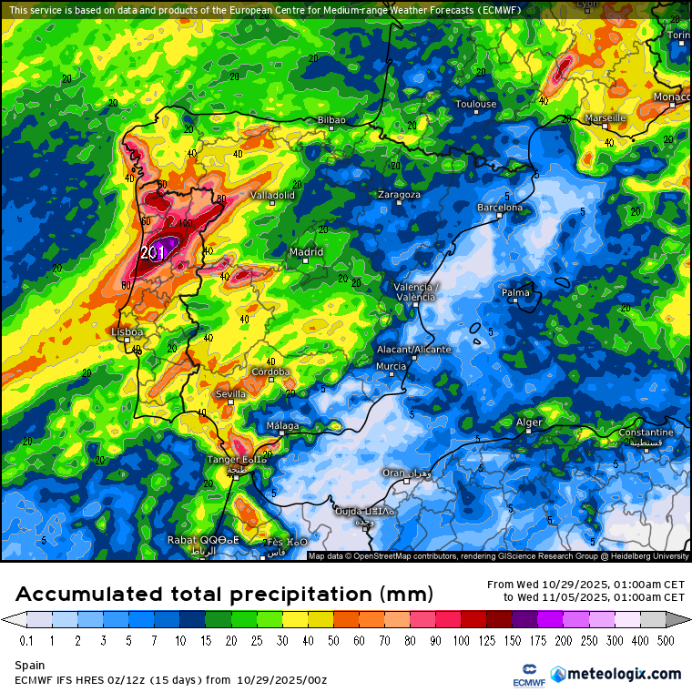 ECMWF lluvias 