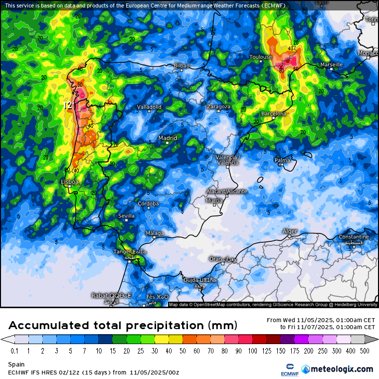 ECMWF lluvias 