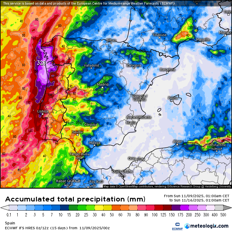 ECMWF lluvias 