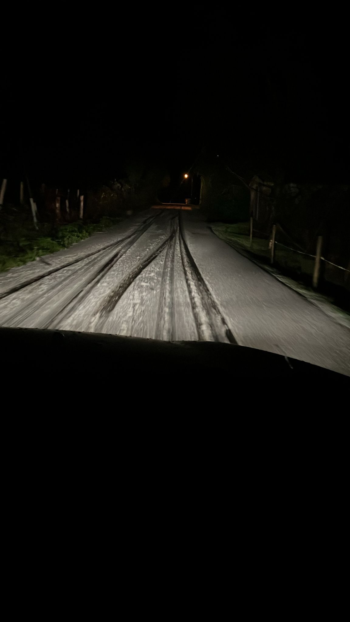 Nieve 