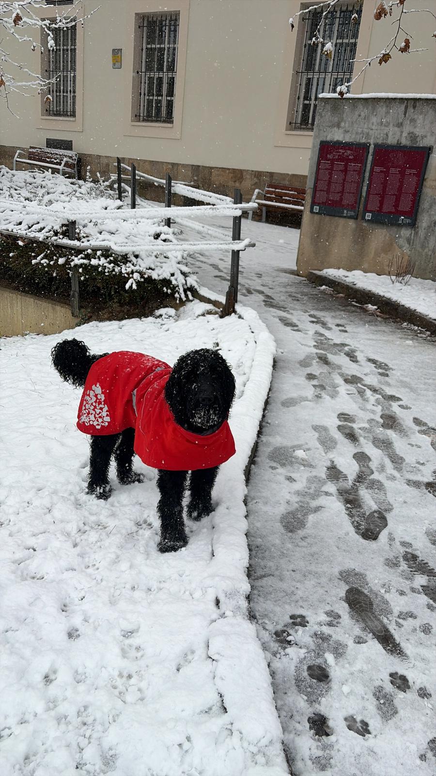 Nieve en Vitoria