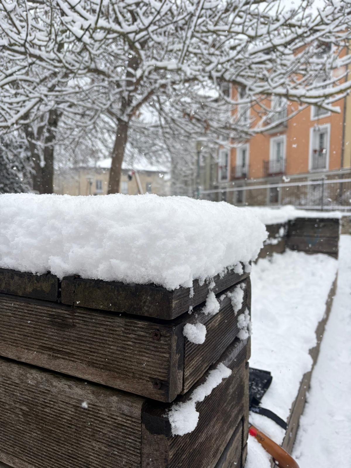 Nieve en Vitoria