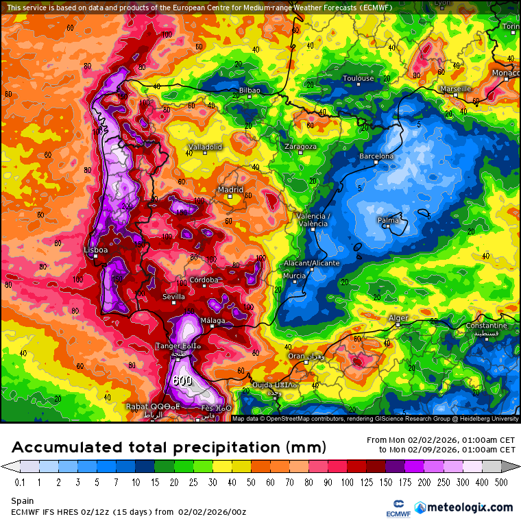 ECMWF lluvias 