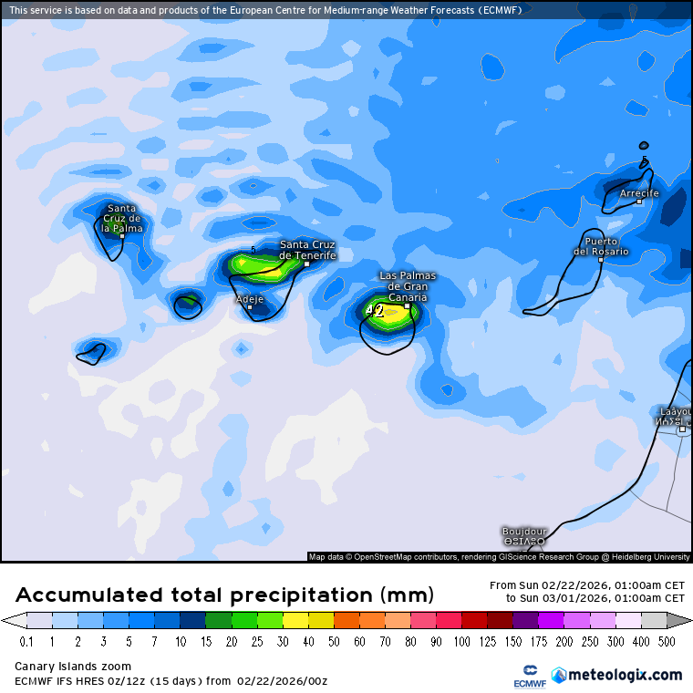 ECMWF lluvias Canarias 