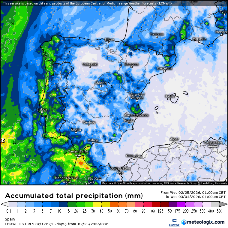 ECMWF lluvias 