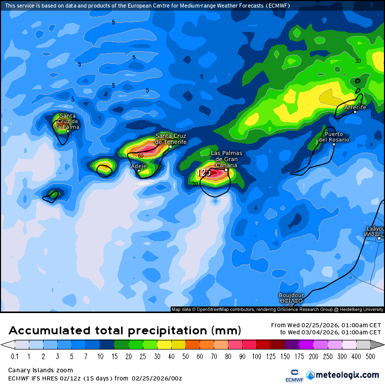 ECMWF lluvias Canarias 