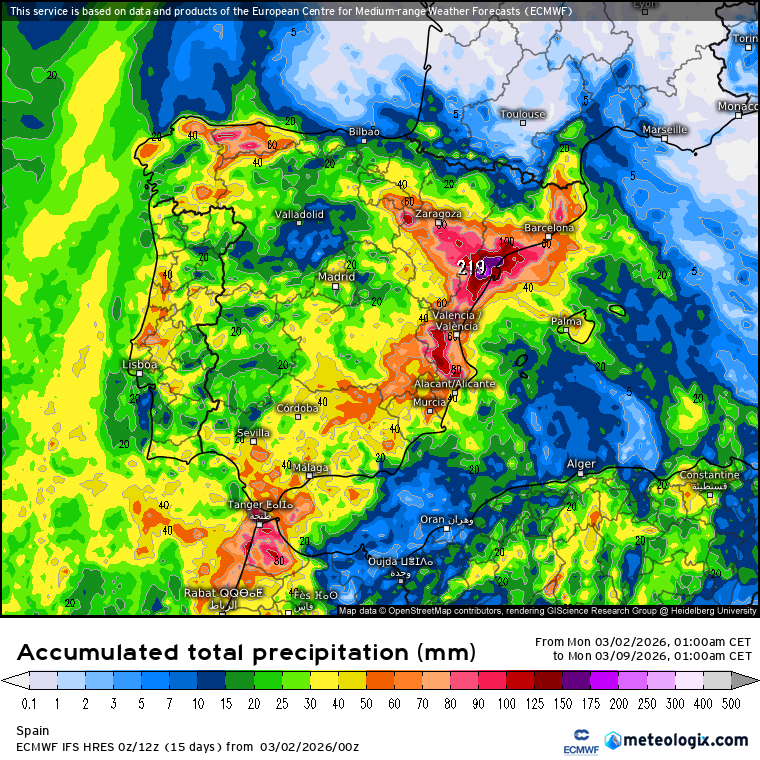 ECMWF lluvias 