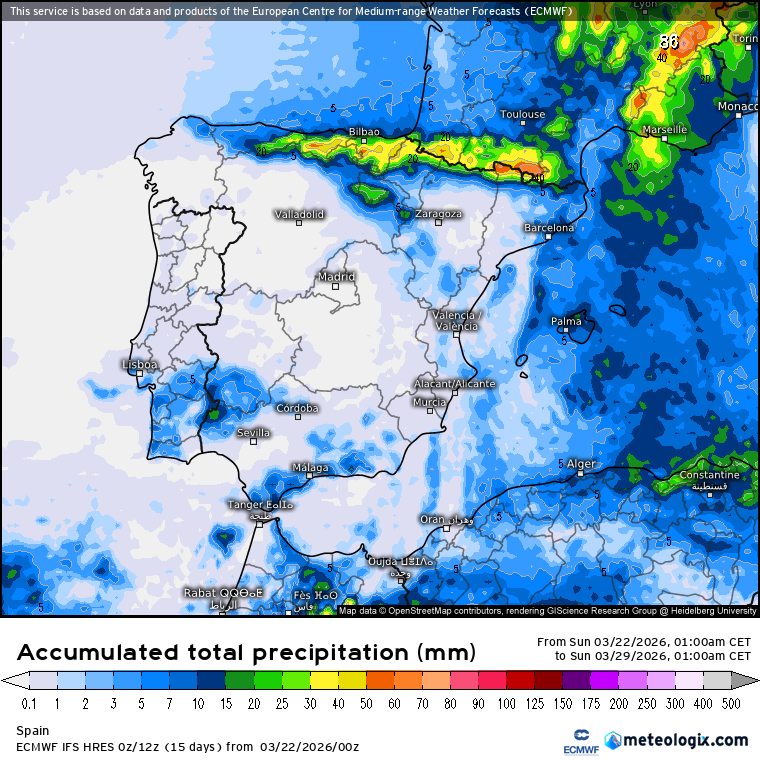 ECMWF lluvias 