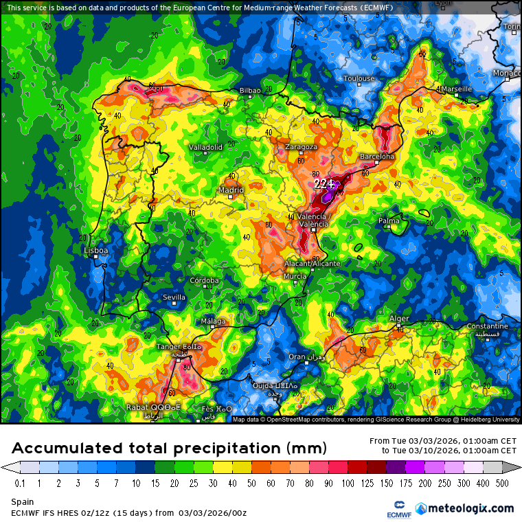 ECMWF lluvias 