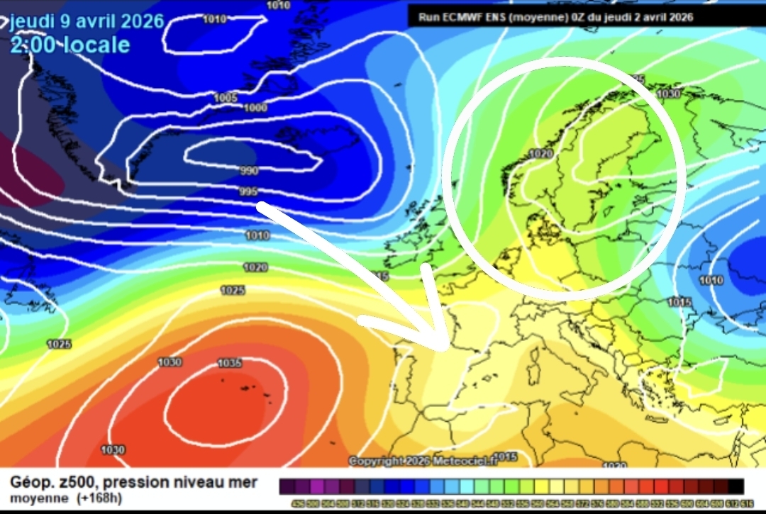 Bloqueos ECMWF 