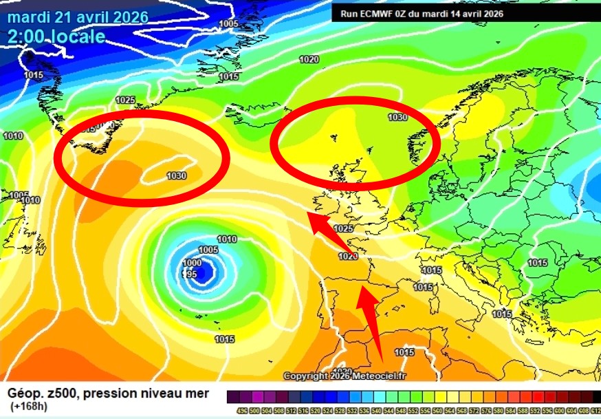 ECMWF 