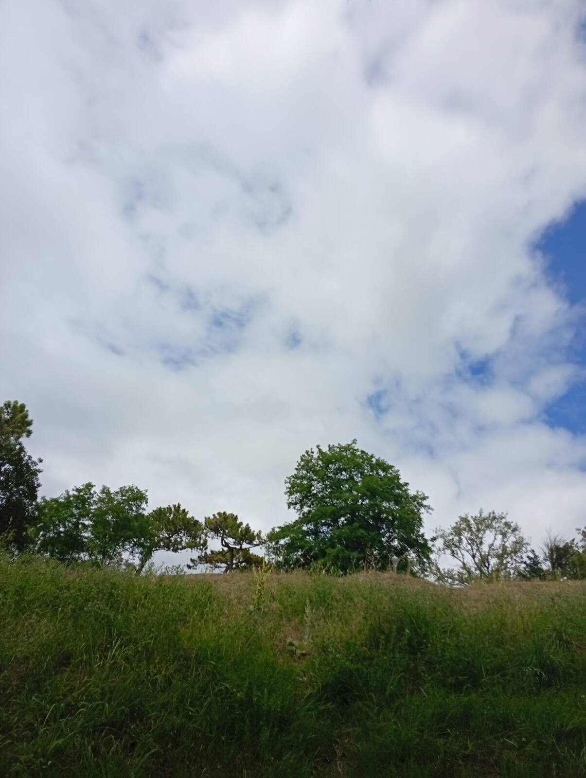 Aquí hoy 21 grados en Bizkaia y es increíble y hacé una semana 42 un saludo Rubén a por cierto paso una foto