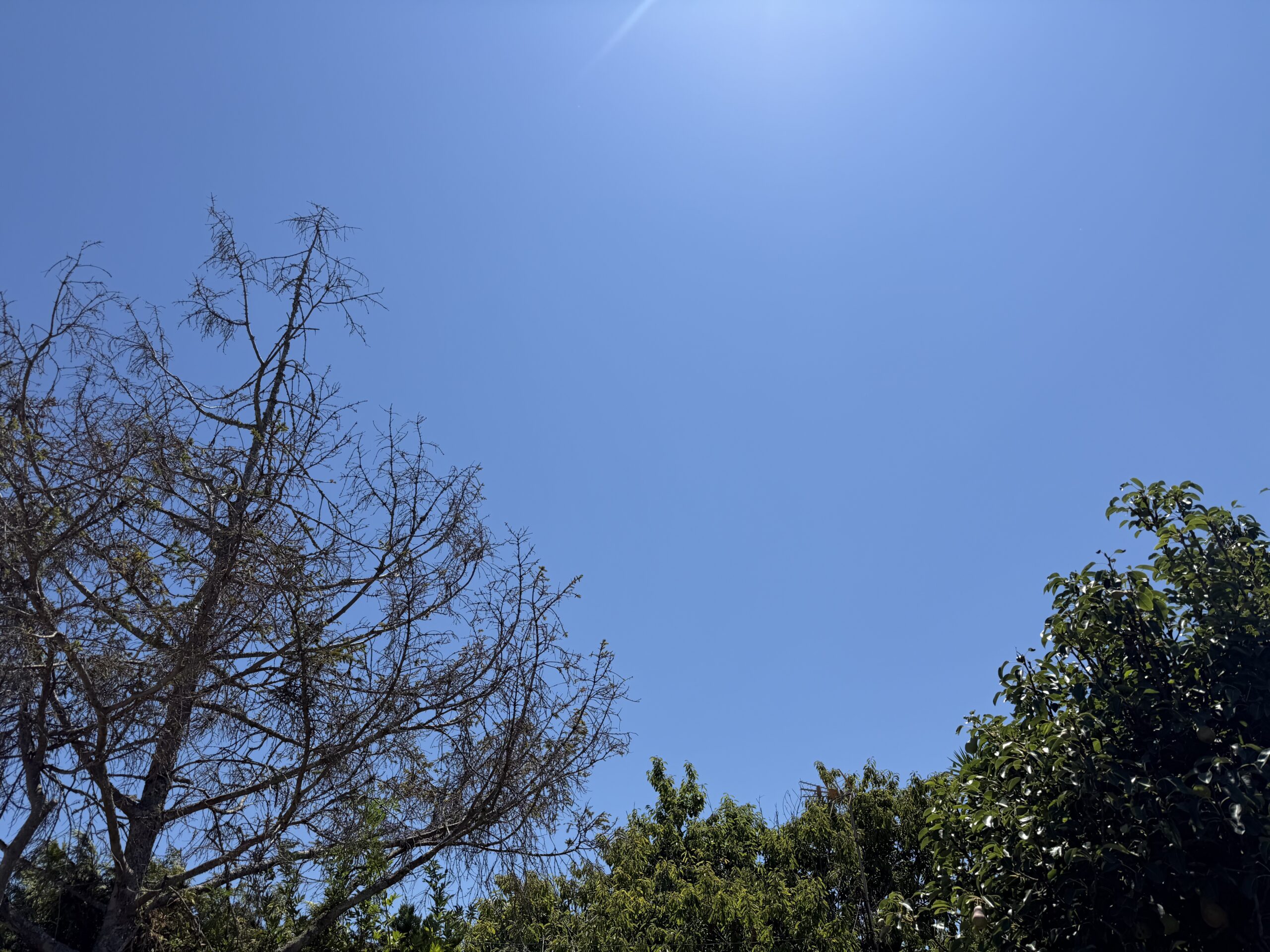 Participa: &iquest;hace calor en tu zona hoy?
