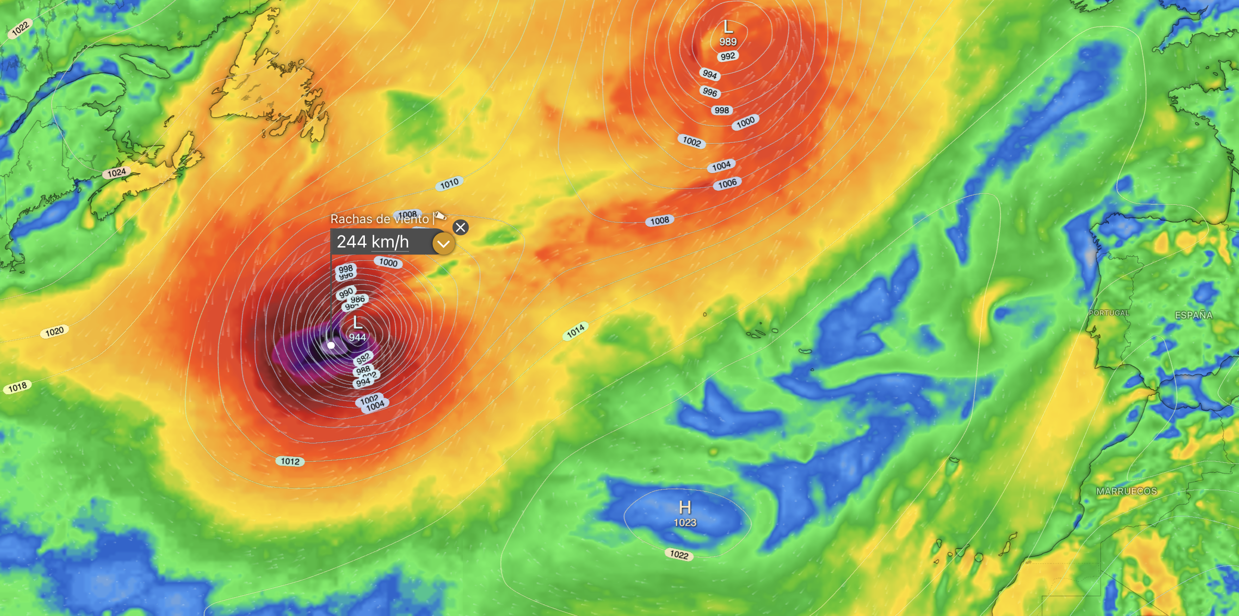 ECMWF hurac&aacute;n Dolly